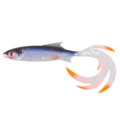 Vitfisk