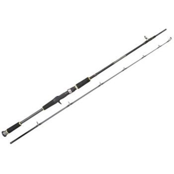 SPRO Salty Beast BC 60-150g