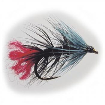 Wet Fly Blue Zulu