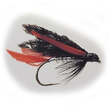 Wet Fly Alexandra