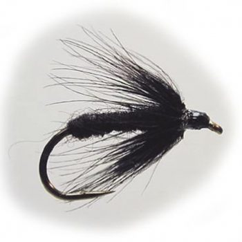 Wet Fly Black Spider