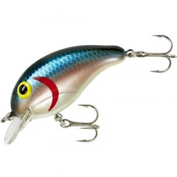 Bandit 200 7g