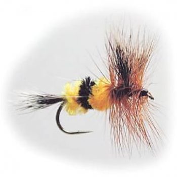 Dry Flies -Wulff Bee