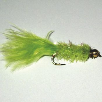 Fritz Goldhead Green