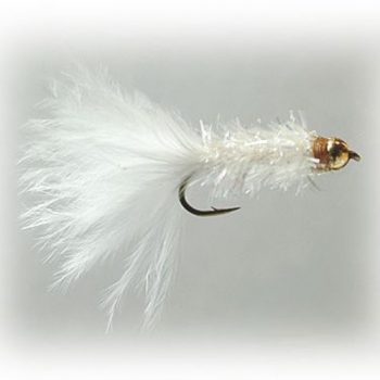 Fritz Goldhead White