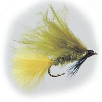 Streamers Dawsons Olive