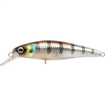 Ikiru Naturals Silent Jerk 9.5cm 15g