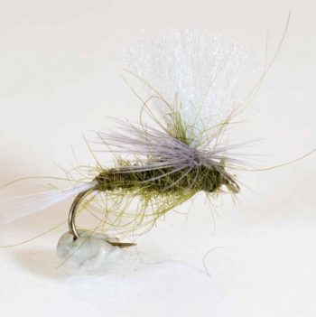 A.Jensen Beatis Parashute #12