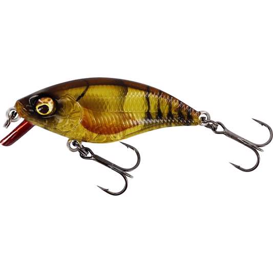 Clear Brown Craw