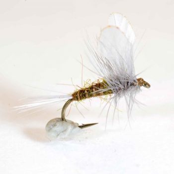 A.Jensen BWO Burn Wing Dun #16