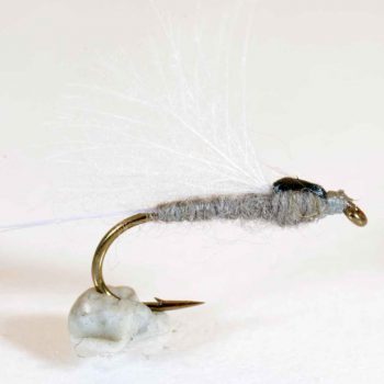 A.Jensen CDC Winged -Beatis #16