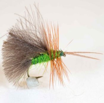 A.Jensen High Rider CDC Sedge -Green #12