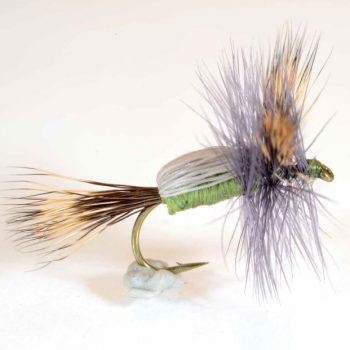 A.Jensen Humpy Olive #12