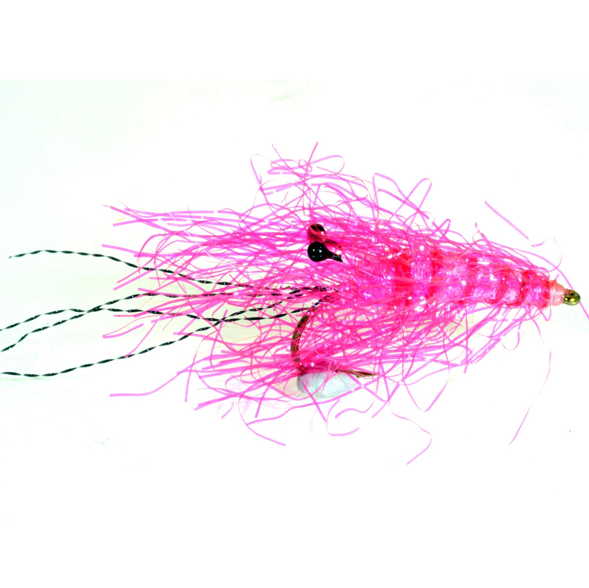 Krystal Shrimp -Pink