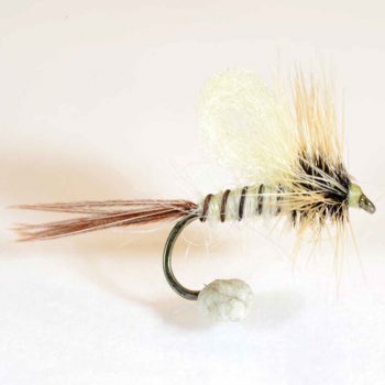 A.Jensen Loop Wing May Fly #10