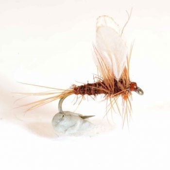 A.Jensen Mahogany Burn Wing Dun #14