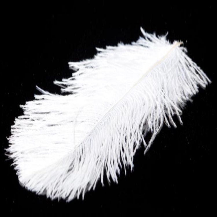 A.Jensen Ostrich Plumes