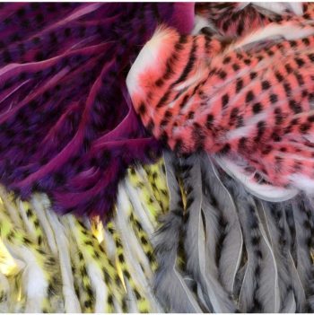 A.Jensen Tiger Zonker Strips - 1 of each 13 colors