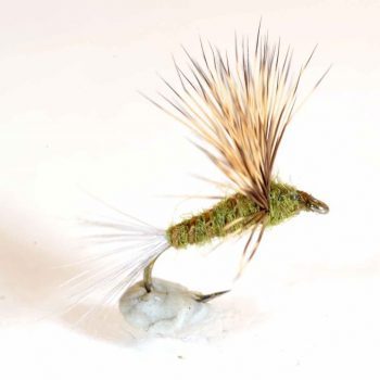 A.Jensen Pale Olive Compara Dun #16