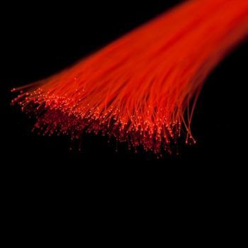A. Jensen Rizz Fiber
