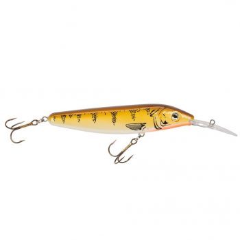 Yellow Perch