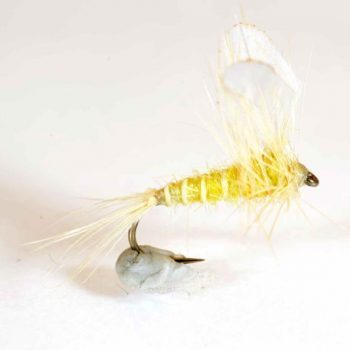 A.Jensen Yellow Burn Wing Dun #14