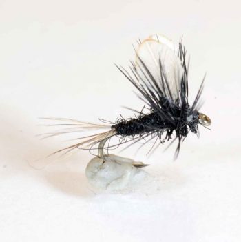 A.Jensen  Zebra Burn Wing Dun #16