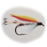 Wet flies Silver Doctor