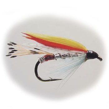 Wet flies Silver Doctor