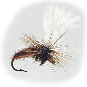 Dry Flies Klinkhammer