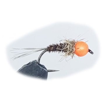 Gold Head Short Shank Nymph - Killer Head
