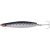 Dotted Sardine