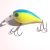 Bright Canary