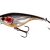 Steel Sardine