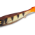 Transparent Perch