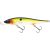 Hot Shad
