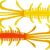 Yellow/Orange