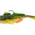 Fire Goby
